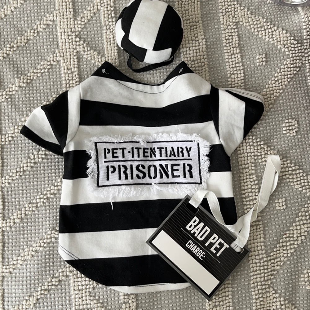 Prisoner costume for dog, size Medium.